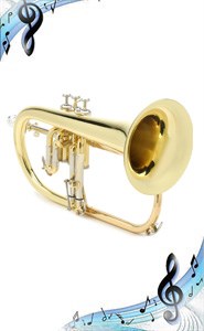 ФЛЮГЕЛЬГОРН