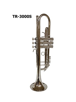 TR-3000S 1707 - фото 4743