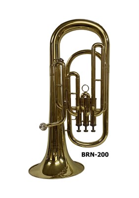 BRN-200 1769 - фото 4914