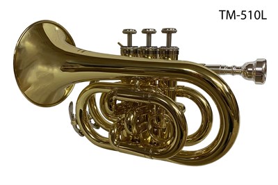 Труба-мини (pocket) "Bb" BRAHNER TM-510L 2209 - фото 6167