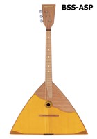 BSS-ASP 1896