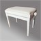 PB-018-WH 1703 - фото 4729