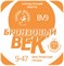 BV09 2335 - фото 6460