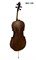 Виолончель HANS KLEIN HKC-12S 2428