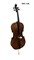 Виолончель HANS KLEIN HKC-12S 2428