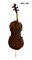 Виолончель HANS KLEIN HKC-12S 2428
