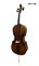 Виолончель HANS KLEIN HKC-10S 2429