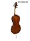 Виолончель HANS KLEIN HKC-10S/HG 2430