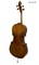 Виолончель CREMONA  CC-311F  4/4 CC-311F