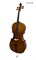 Виолончель CREMONA  CC-311F  4/4 CC-311F